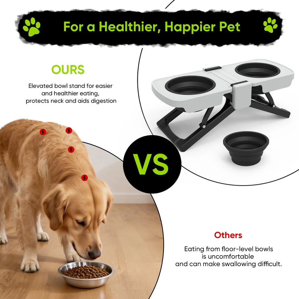 Elevated Dog Bowl Stand