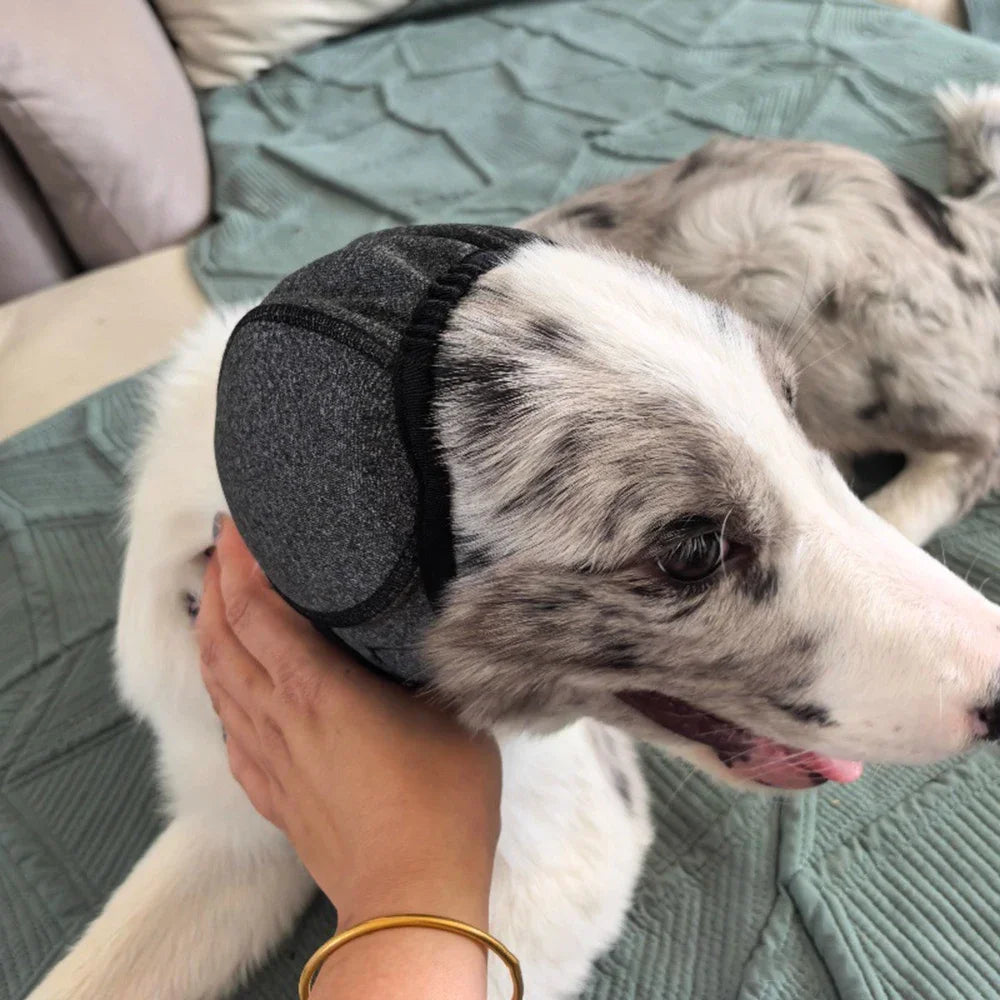 Dog Ear Muffs for Fireworks & Noise Anxiety | Calming Sound Insulation Headgear