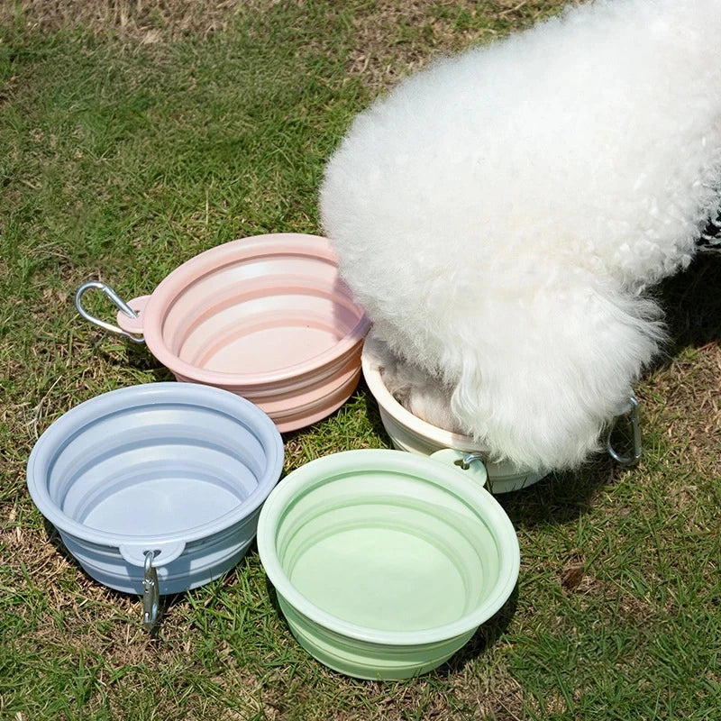 Collapsible Travel Dog Bowl