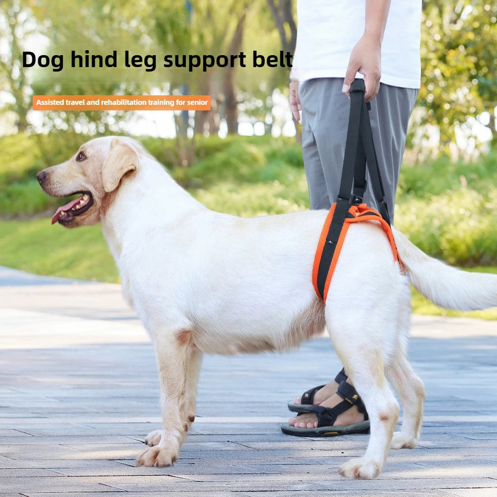Dog Hind Leg Support Harness