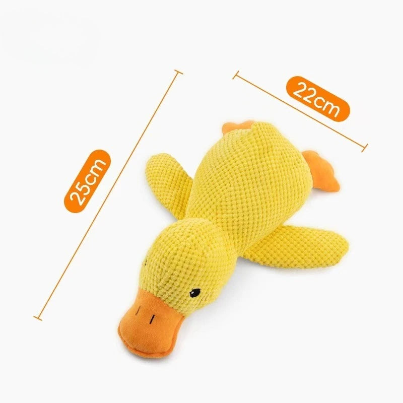 Plush Chew & Squeak Pet Toy
