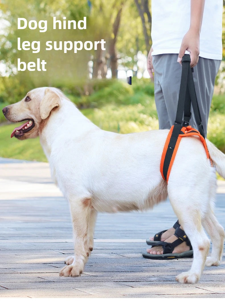 Dog Hind Leg Support Harness