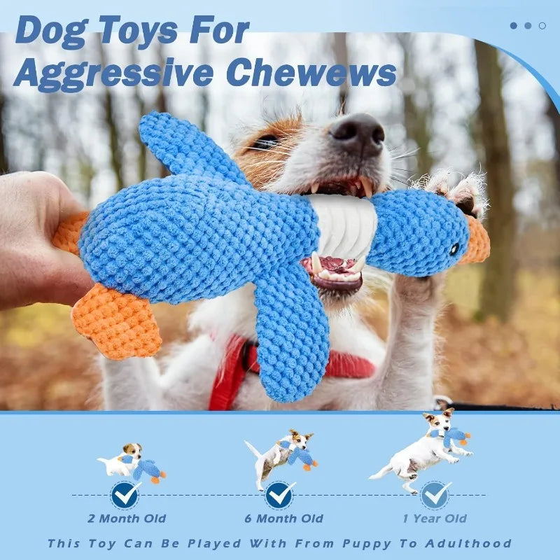 Plush Chew & Squeak Pet Toy
