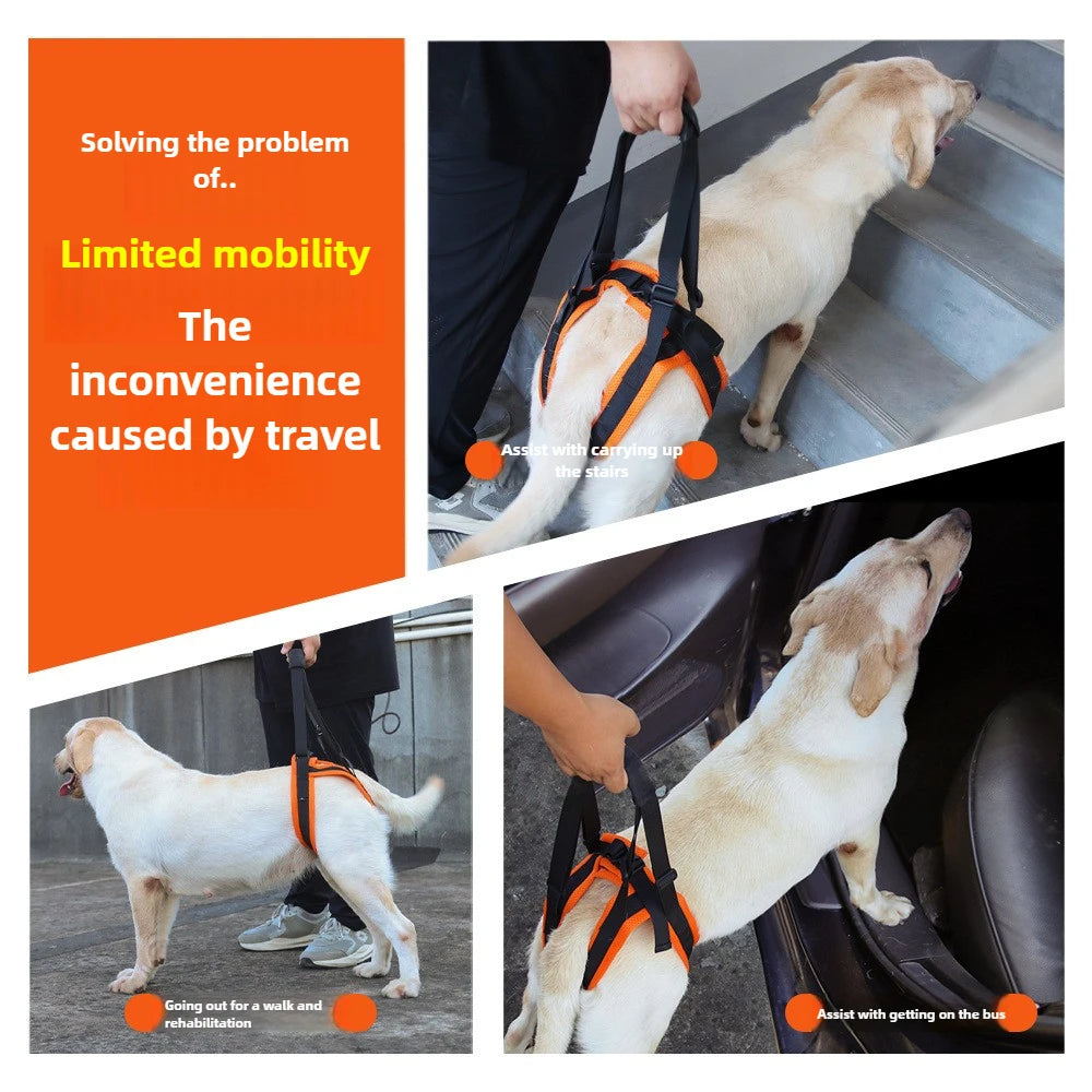 Dog Hind Leg Support Harness