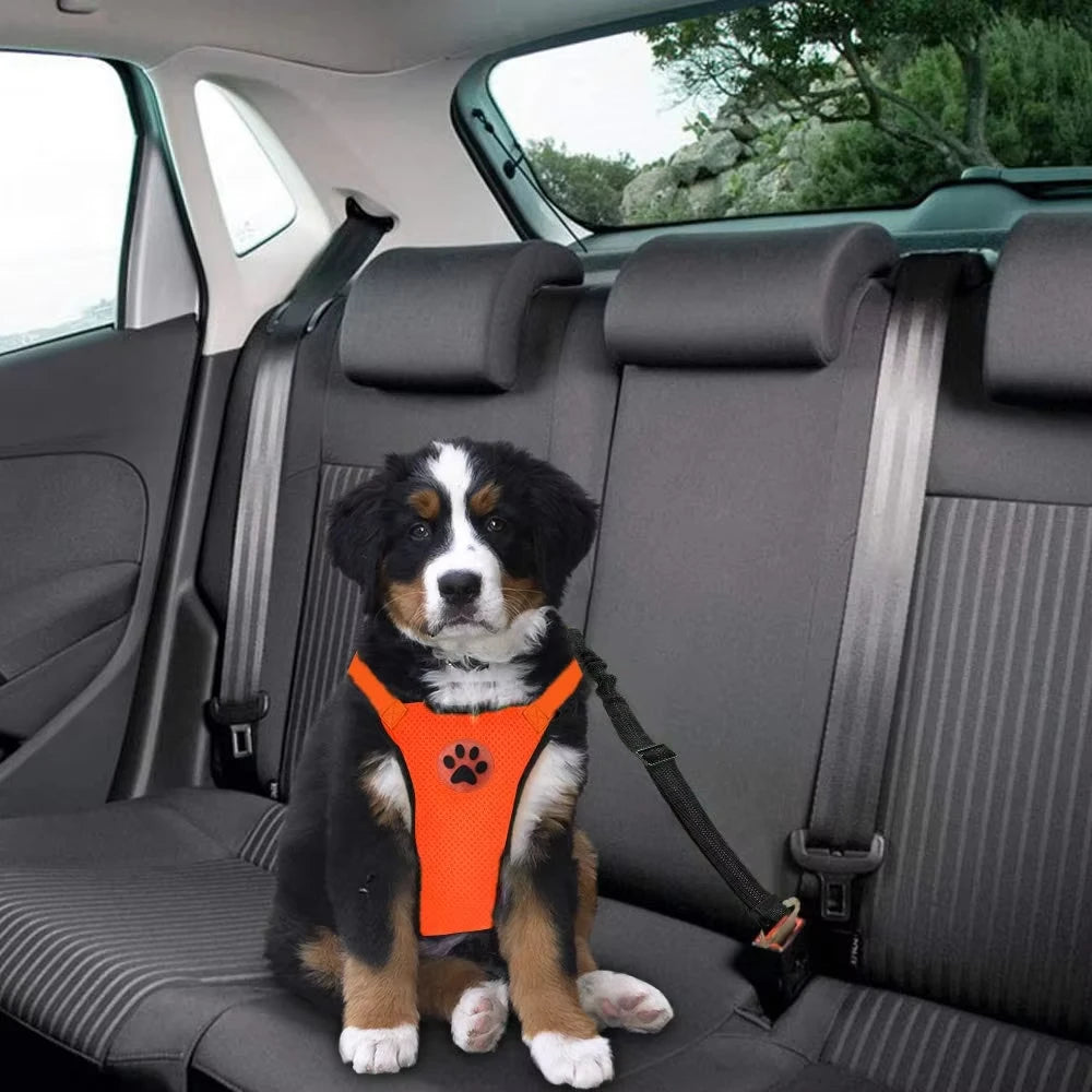 Dog Car Harness & Seatbelt