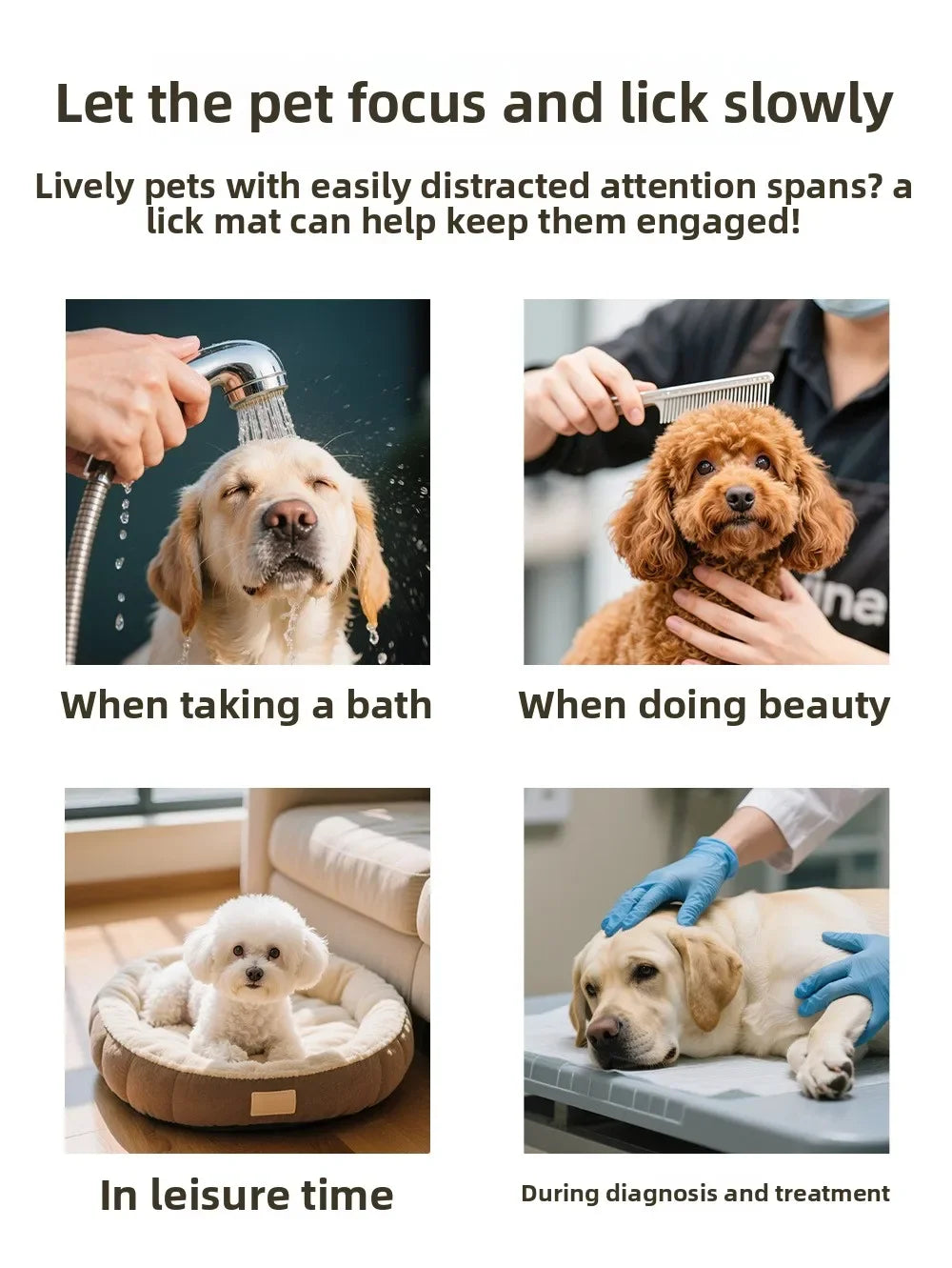 Suction Cup Lick Mat