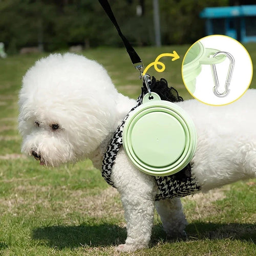 Collapsible Travel Dog Bowl
