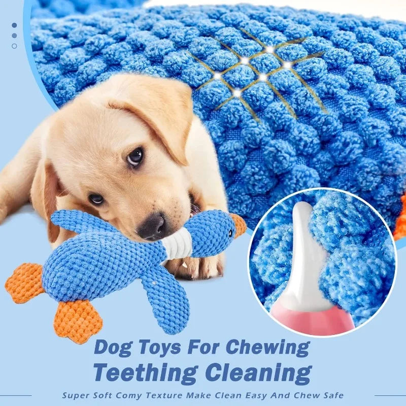 Plush Chew & Squeak Pet Toy