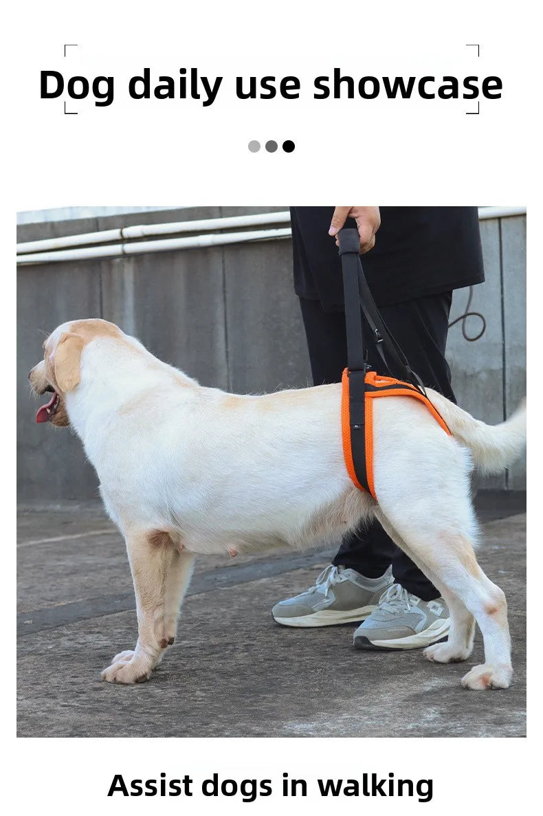 Dog Hind Leg Support Harness