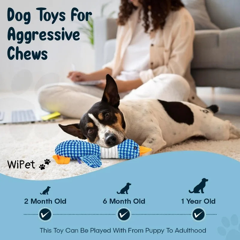 Plush Chew & Squeak Pet Toy