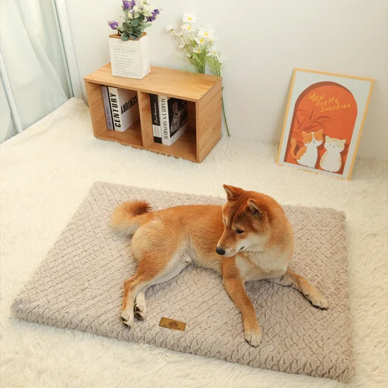 Orthopedic Memory Foam Pet Bed