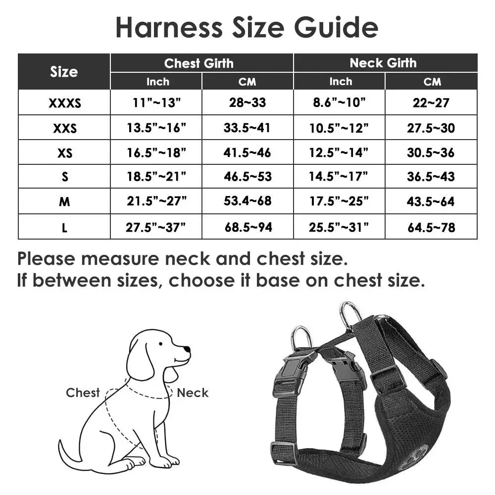 Dog Car Harness & Seatbelt