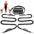 Walk Free: Hands-Free Dog Leash with Zipper Pouch