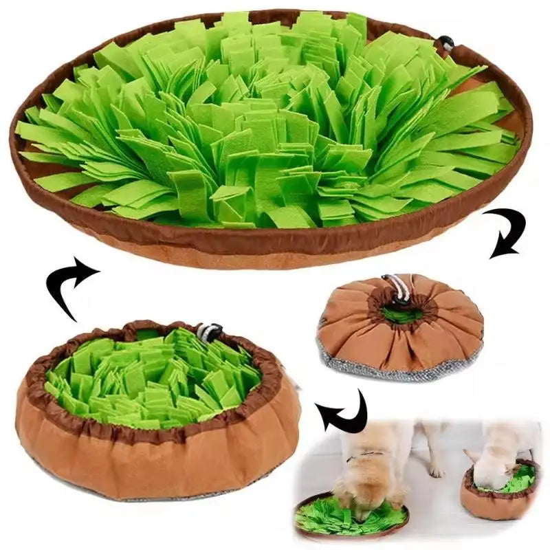 Pet Snuffle Mat