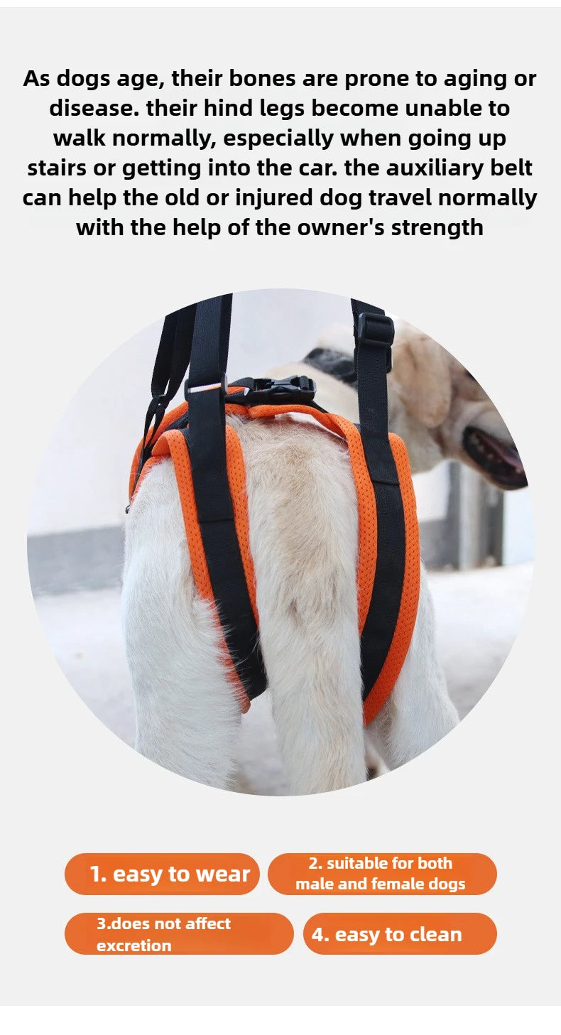 Dog Hind Leg Support Harness