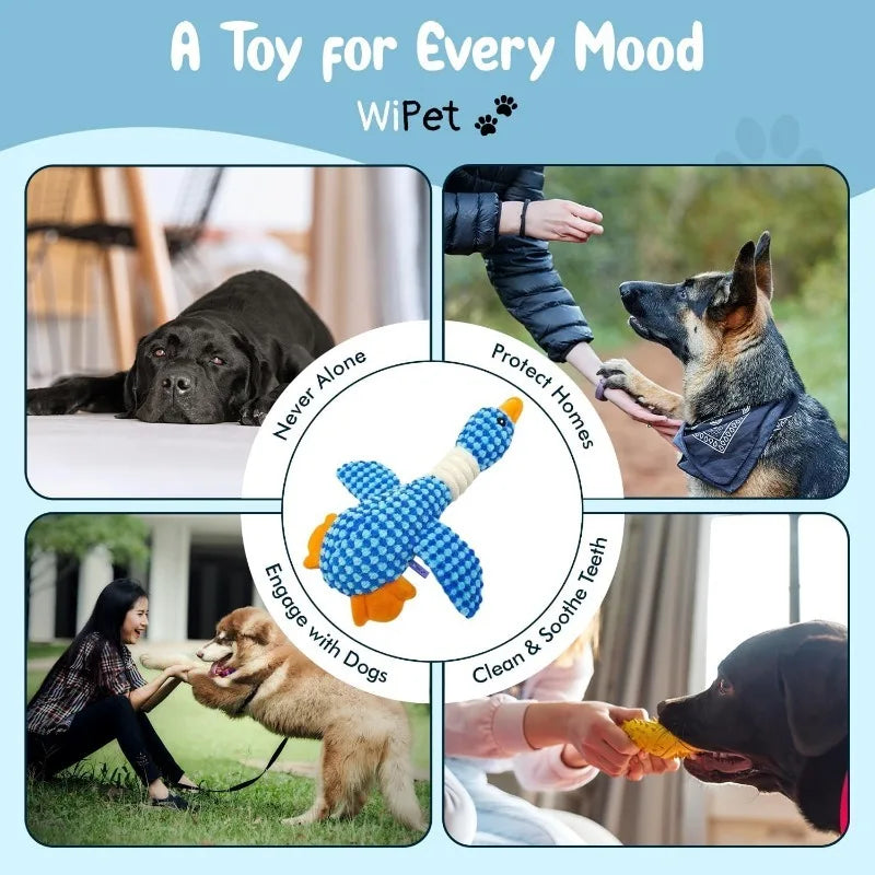 Plush Chew & Squeak Pet Toy