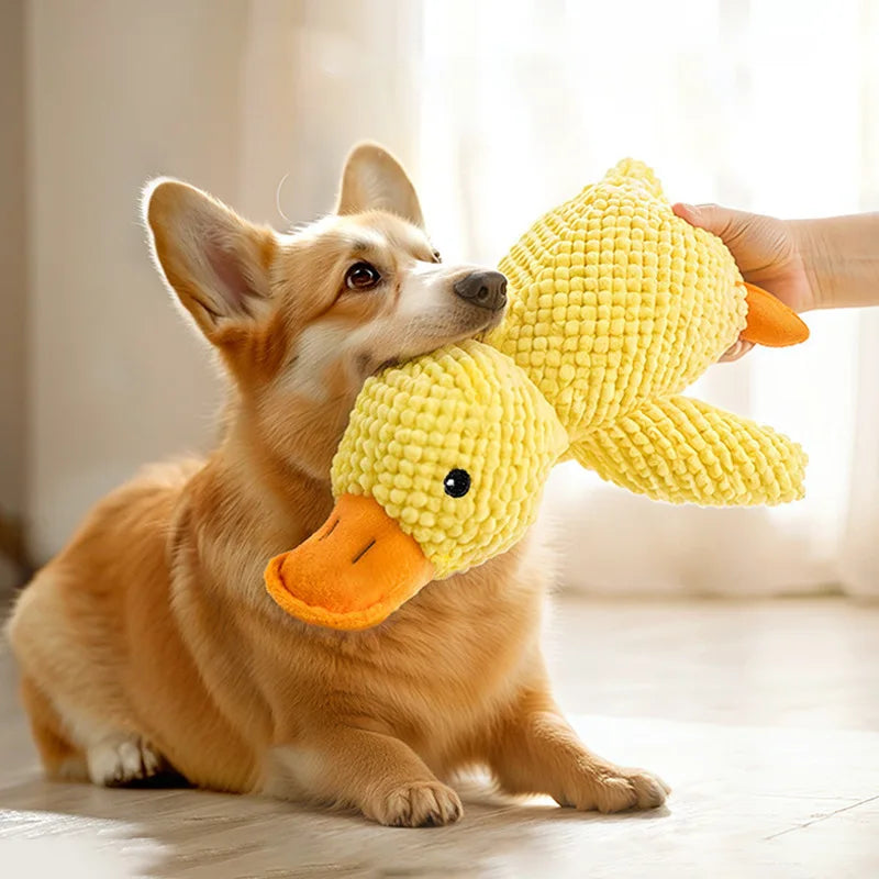 Plush Chew & Squeak Pet Toy
