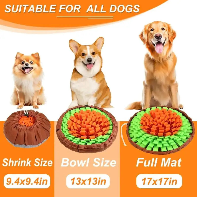 Pet Snuffle Mat