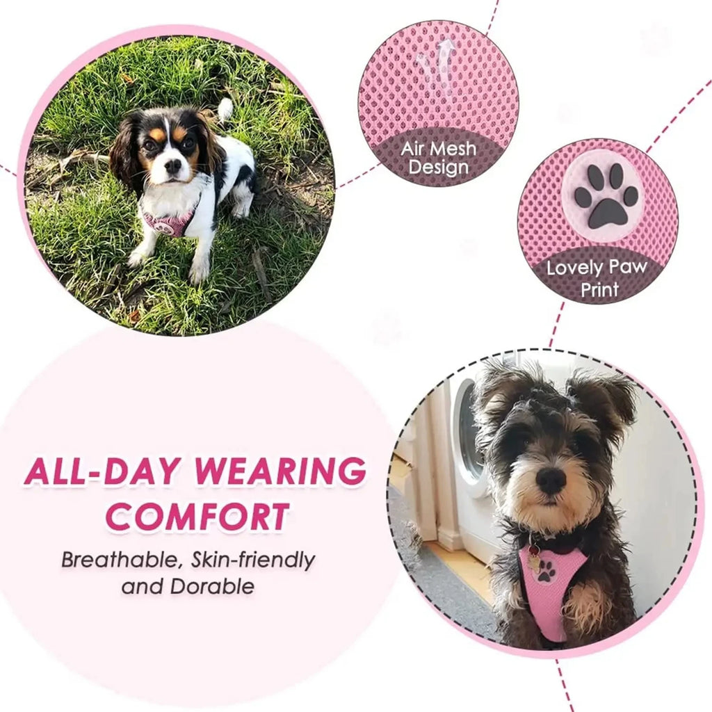 Dog Car Harness & Seatbelt