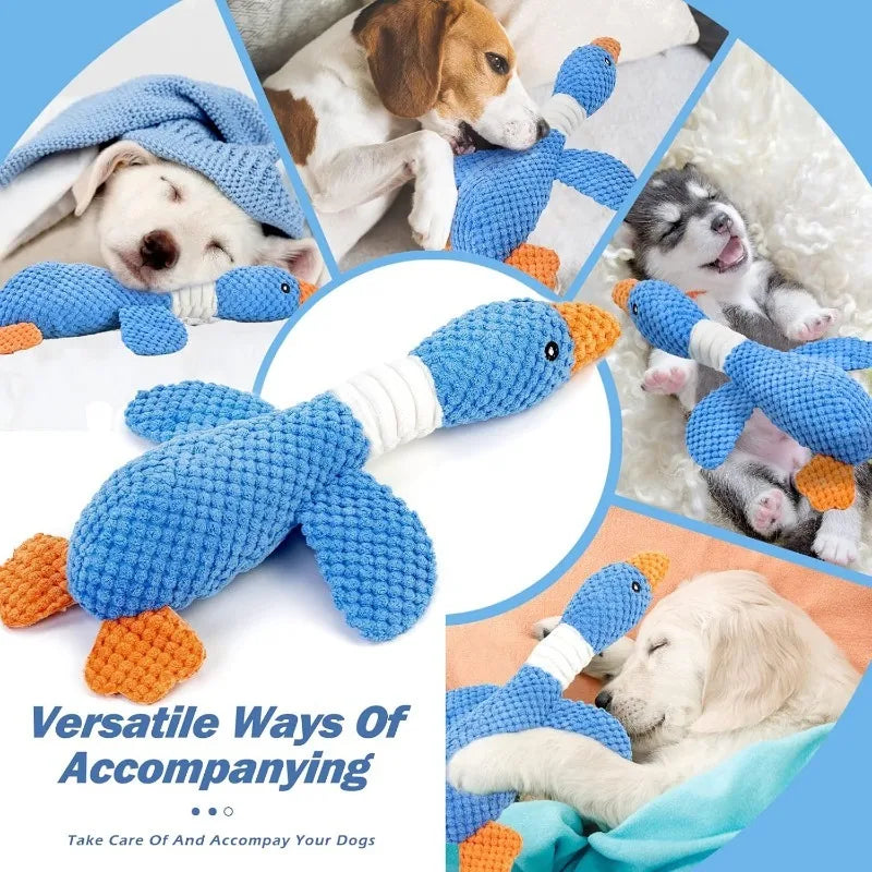 Plush Chew & Squeak Pet Toy