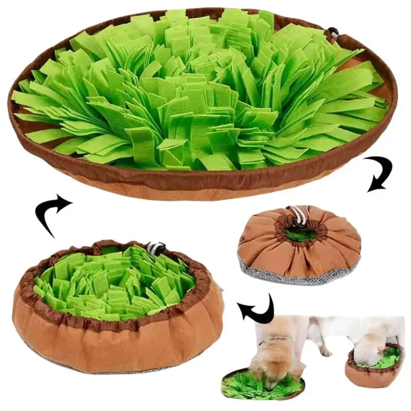 Pet Snuffle Mat