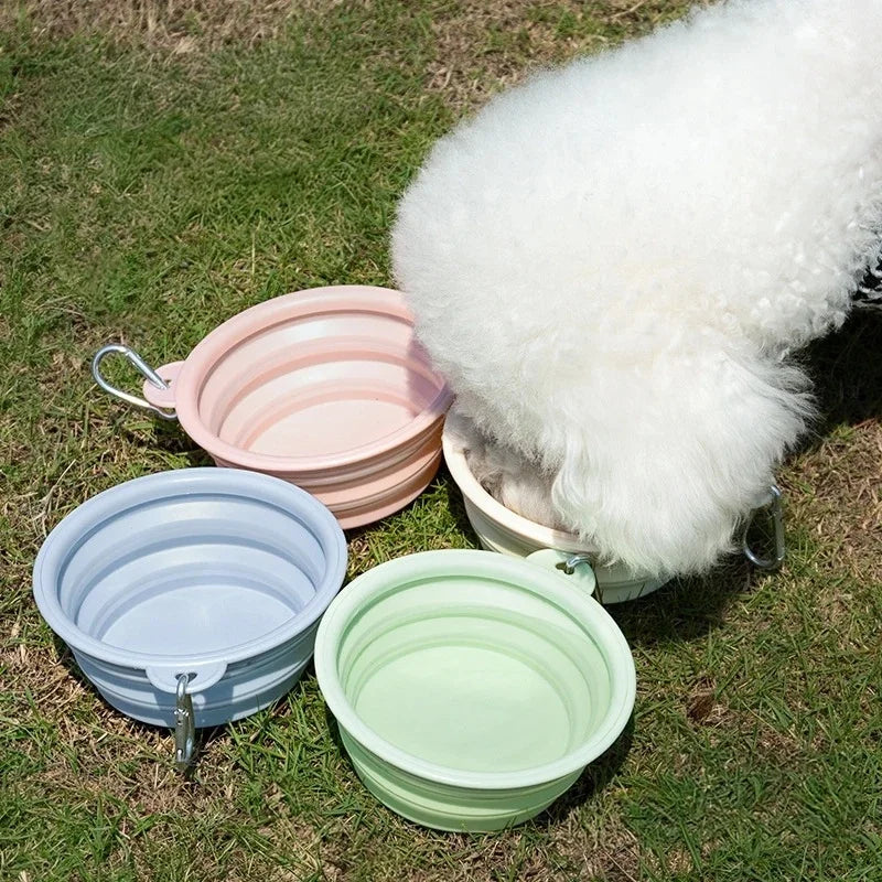 Collapsible Travel Dog Bowl