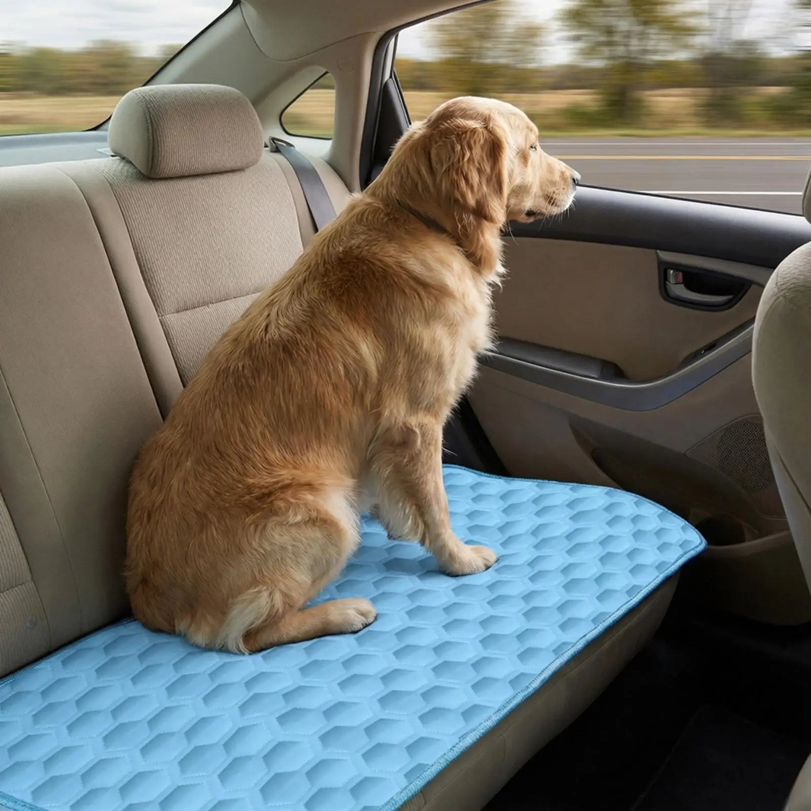 Extra Large Pet Cooling Mat