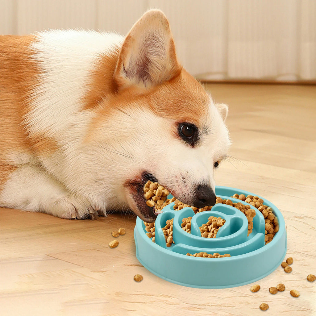 Slow Feeder Dog Bowl