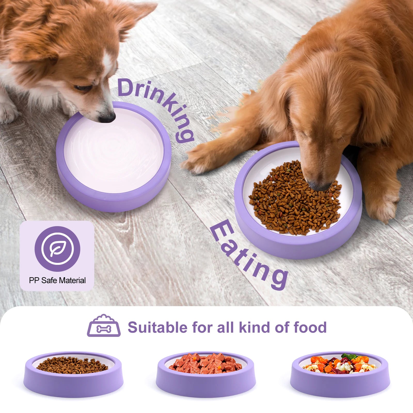 Slow Feeder Dog Bowl