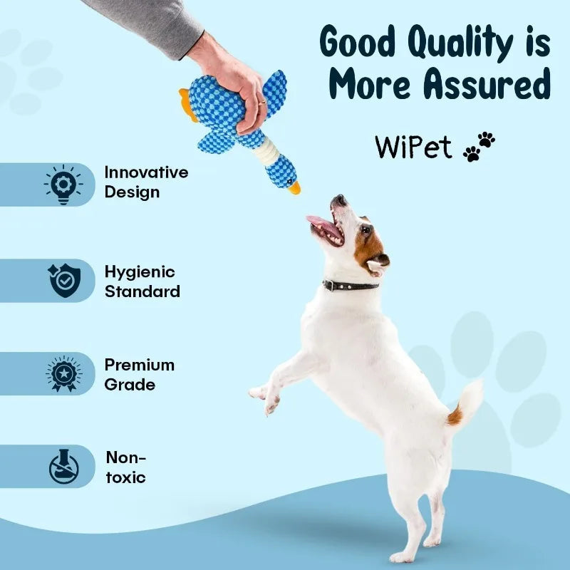 Plush Chew & Squeak Pet Toy