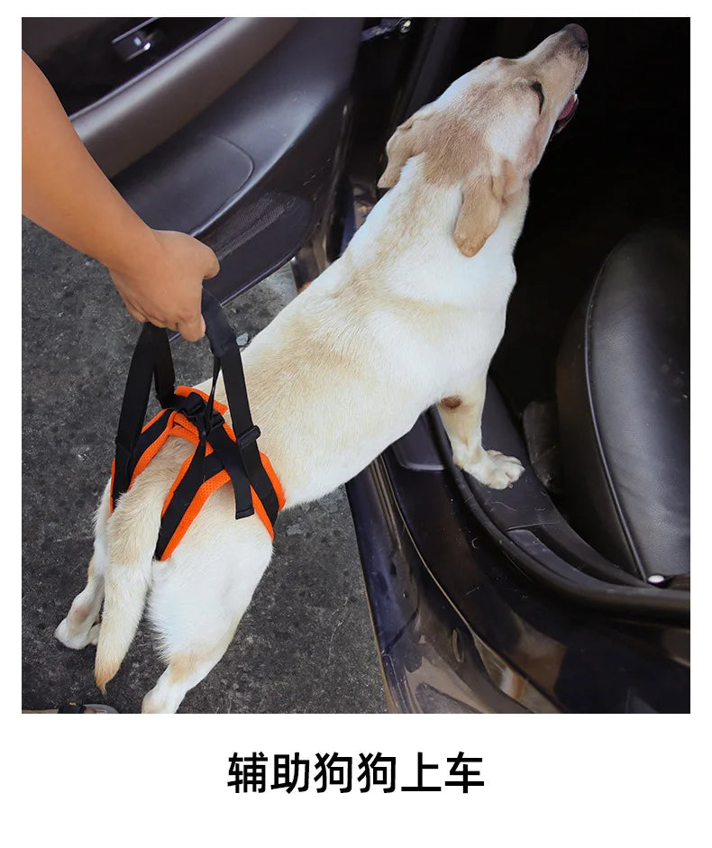 Dog Hind Leg Support Harness