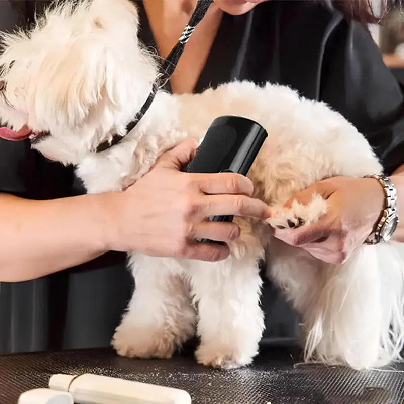 Professional Pet Deshedding Brush