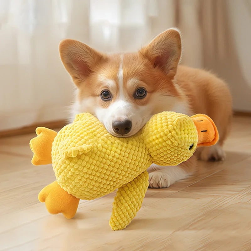 Plush Chew & Squeak Pet Toy