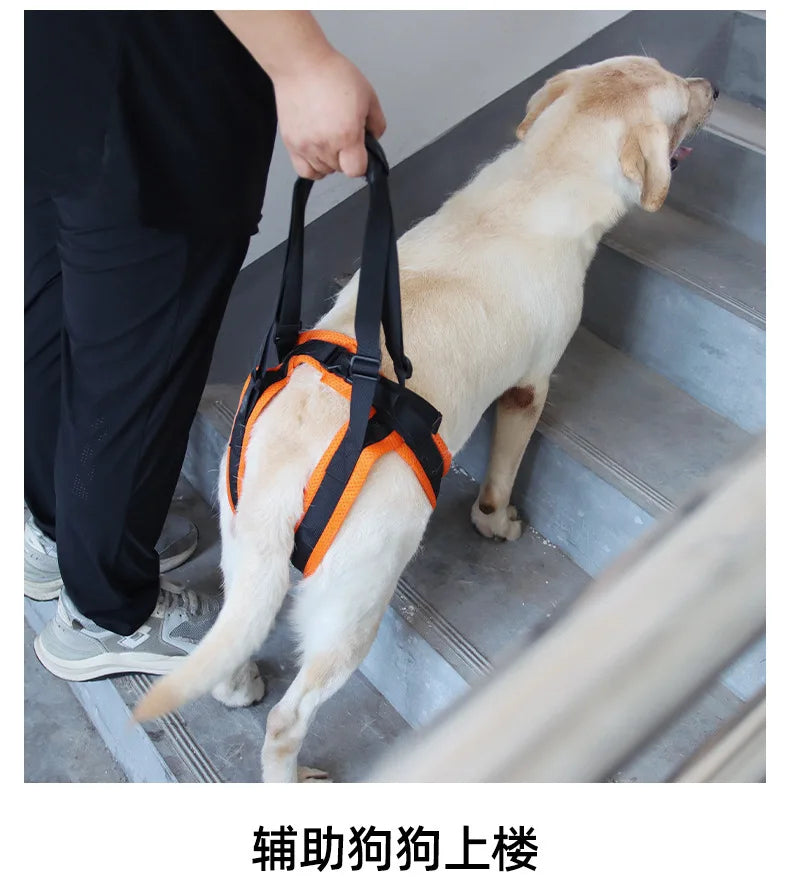 Dog Hind Leg Support Harness