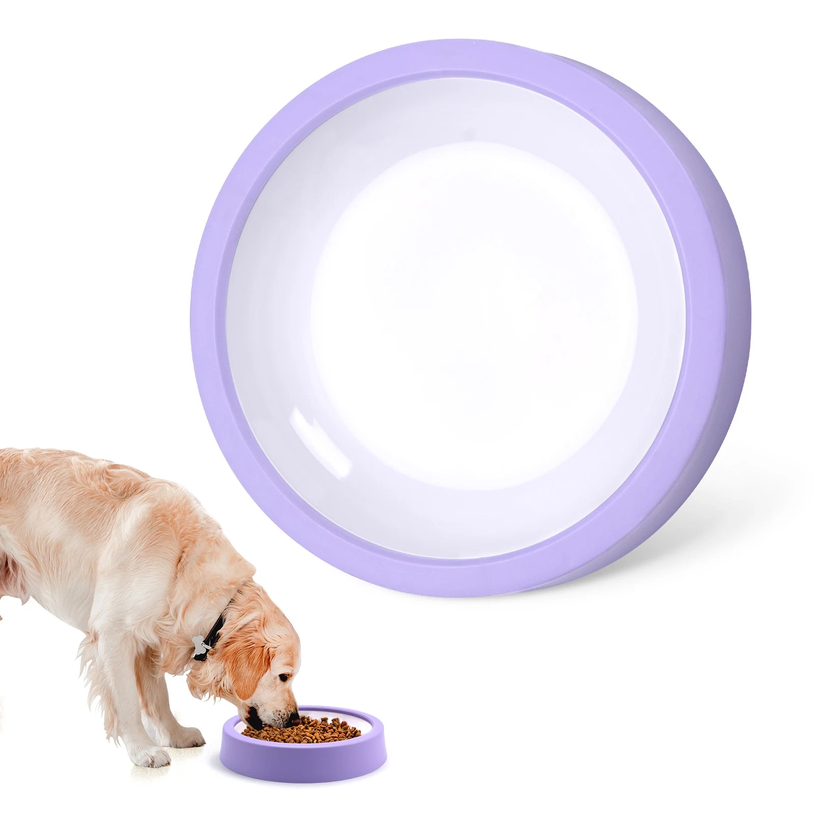 Slow Feeder Dog Bowl
