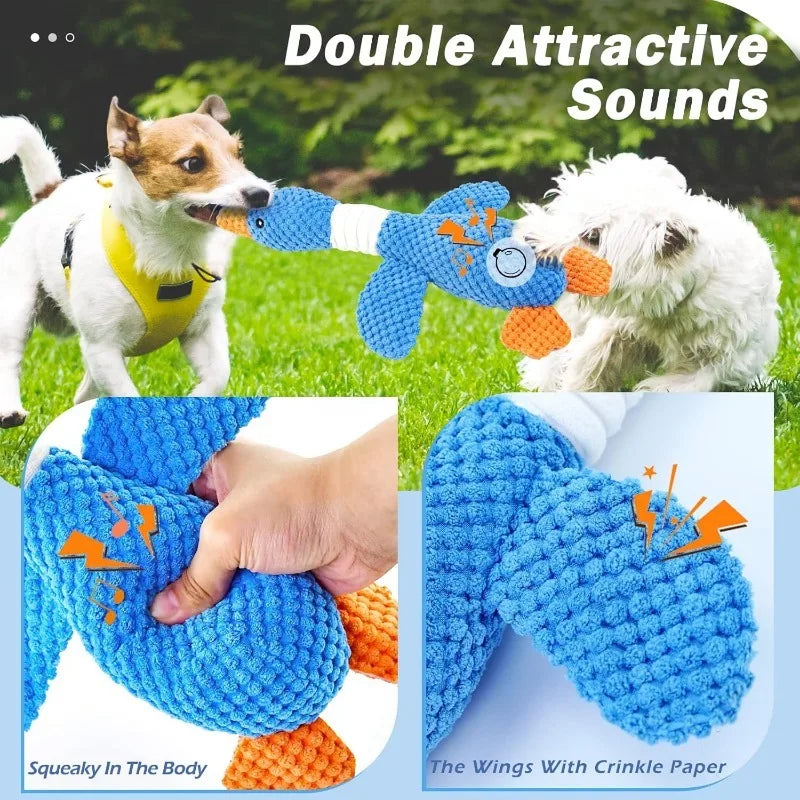 Plush Chew & Squeak Pet Toy